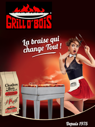 Charbon Grill'O Bois